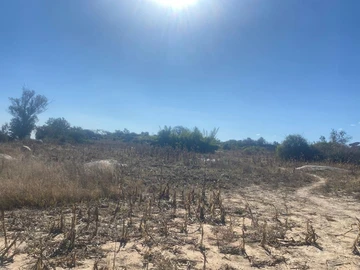 Farm & Agricultural Land