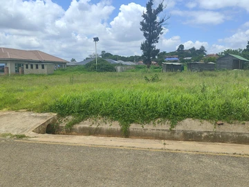 Stands & Residential Land