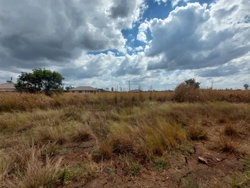 Stands & Residential Land