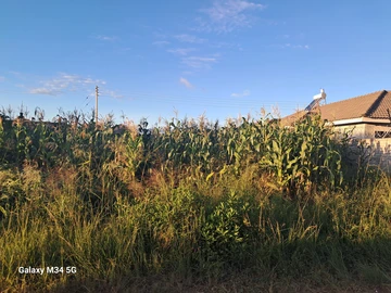 Stands & Residential Land