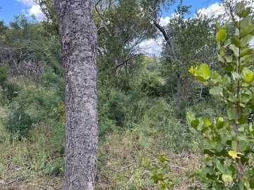 Agro-residential plot !!!!
