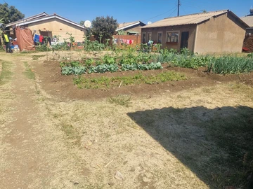 Stands & Residential Land