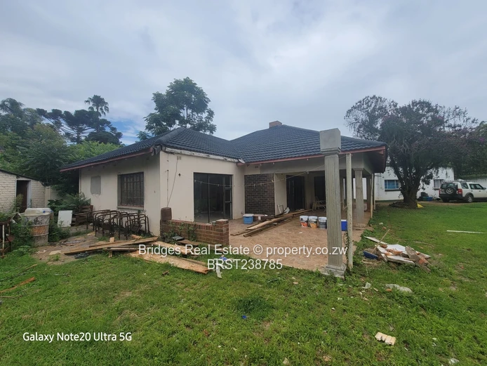 A Halley 's Comet equivalent! 