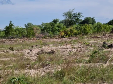 Farm & Agricultural Land