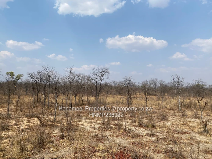 Ngezi Platinum Plots For Sale