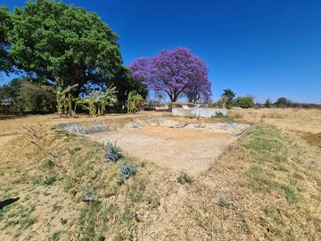 Farm & Agricultural Land