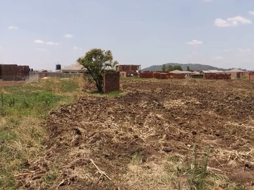 Commercial & Industrial Land