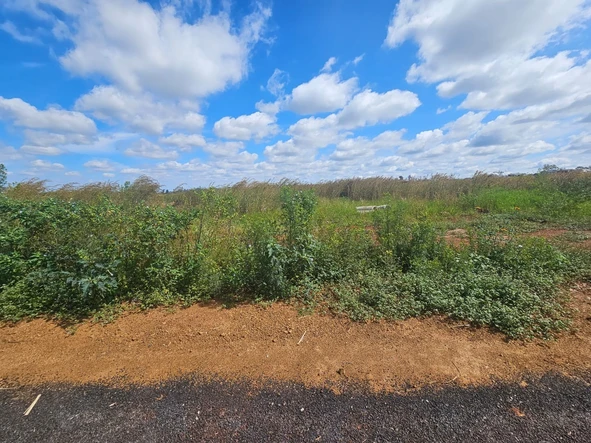 Stands & Residential Land