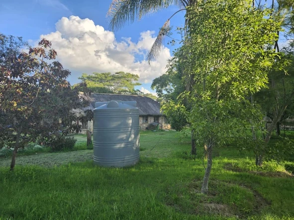 Farm & Agricultural Land