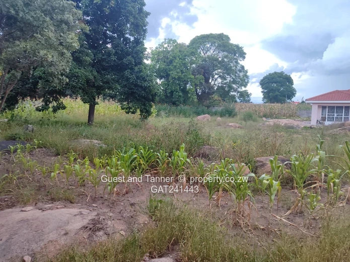 3-Bedroom Cottage In Hatfield For Sale 