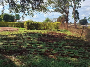 Commercial & Industrial Land