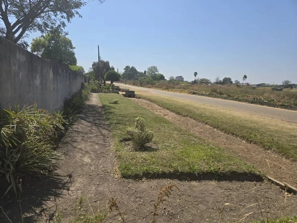 Stands & Residential Land