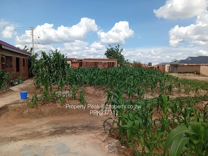 Budiriro 4 Corner Stand For Sale