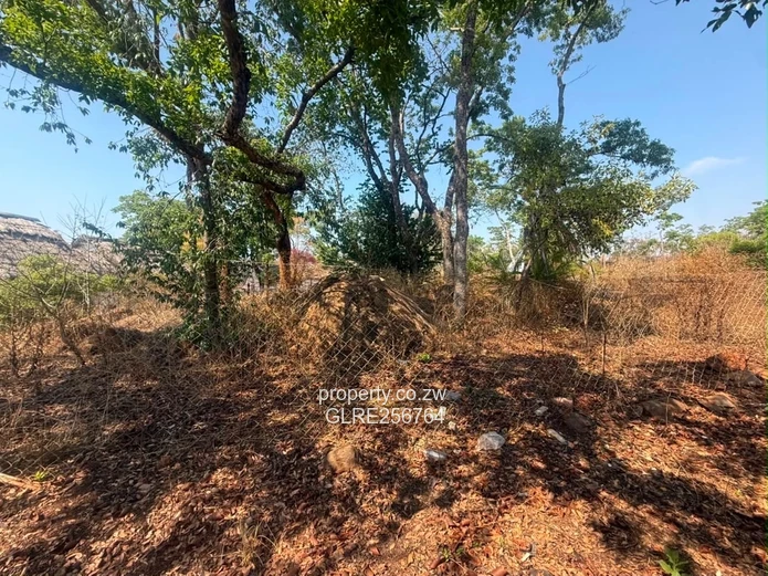 41ha Borrowdale Acreage with Mature Trees & Road Frontage