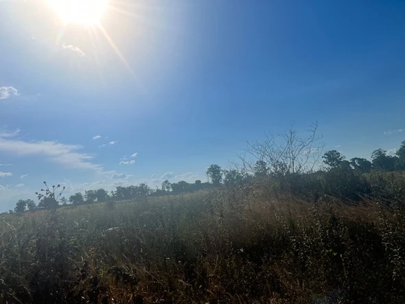 Commercial & Industrial Land