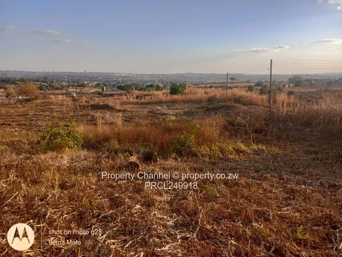 Commercial Stand for Sale in Glenforest 