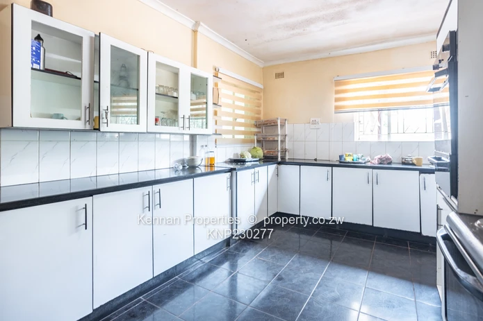 Renovator's Dream - Nostro!