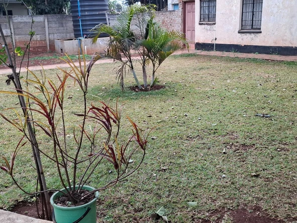 4 Bedroom Townhouse Complex