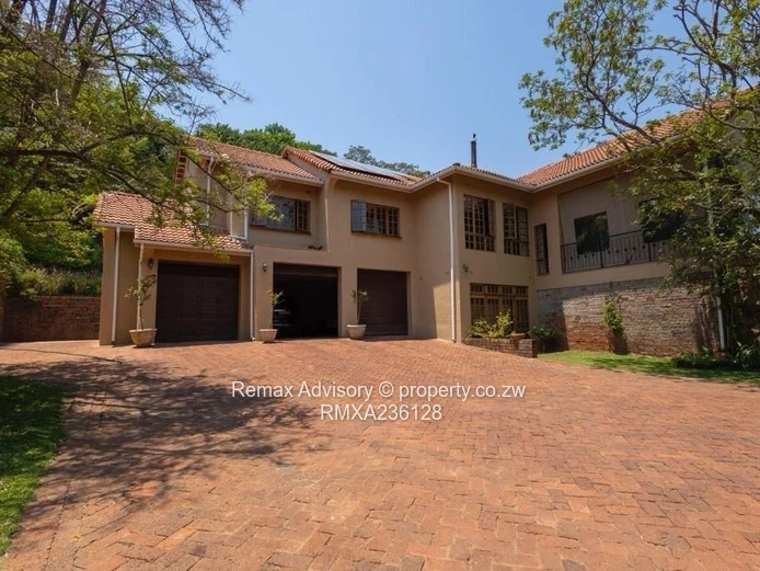 Tranquil Dream In The Brooke