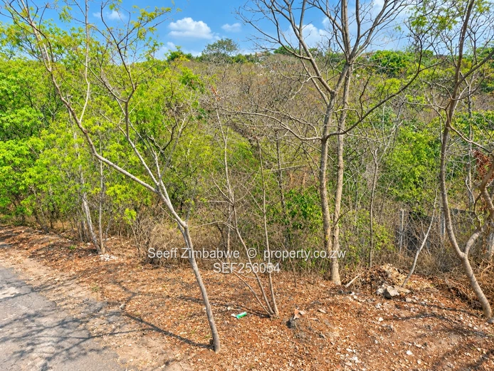 Prime Residential Stand For Sale On Sugarloaf Hill (Sole Mandate)