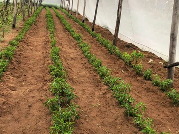 Farm & Agricultural Land