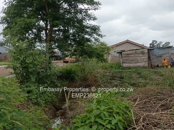 Taken by first viewer