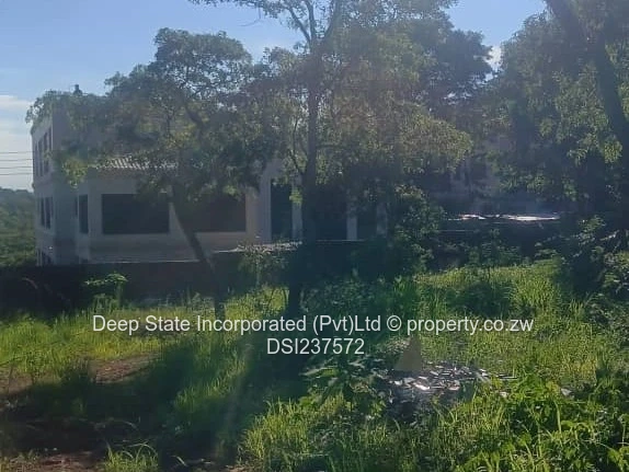 Borrowdale Carrick creagh stands for sale 