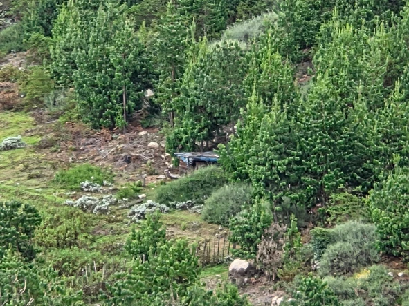 Commercial & Industrial Land