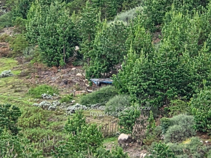 Prime 4.2ha Commercial Land with Panoramic Nyanga Views