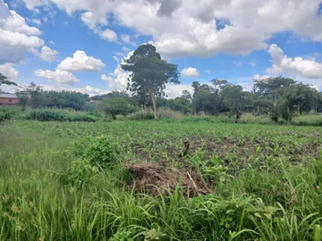 Commercial & Industrial Land