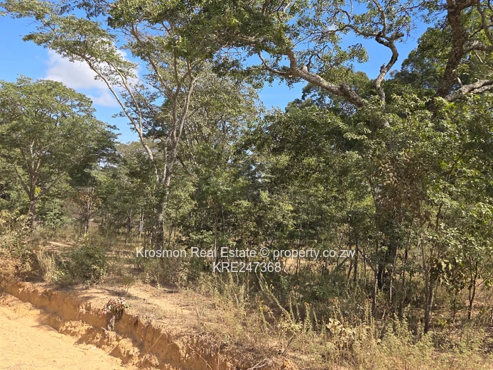 Plot For Sale