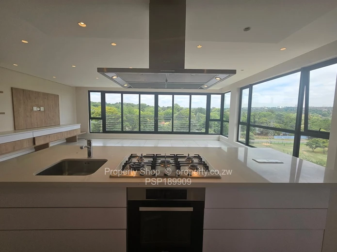 Brand new world class luxurious penthouse in Sandton. 