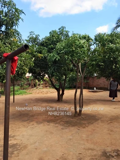 Norton 4-Bed Home with Gated Yard & Mango Trees