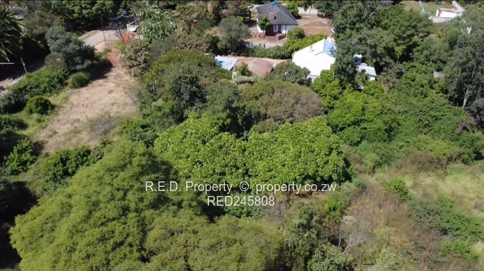 Double Stand Opportunity in Hillside!