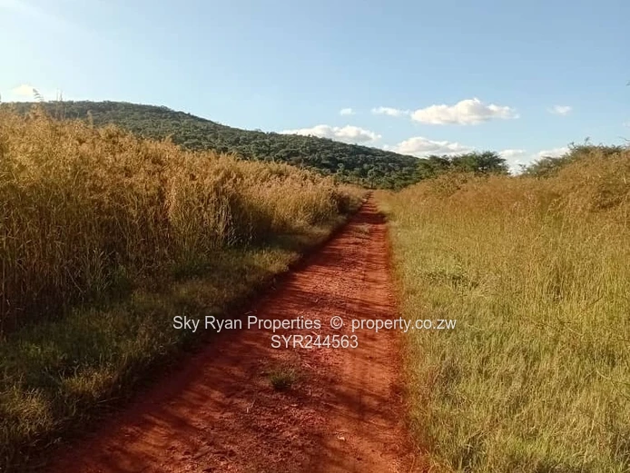 Acturus Of Cromlet Plots For Sale 