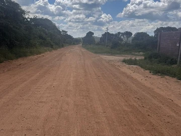 Farm & Agricultural Land