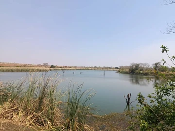 Farm & Agricultural Land