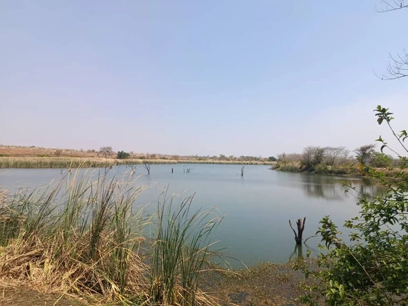 Farm & Agricultural Land