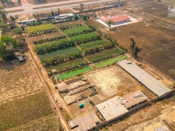 Farm & Agricultural Land