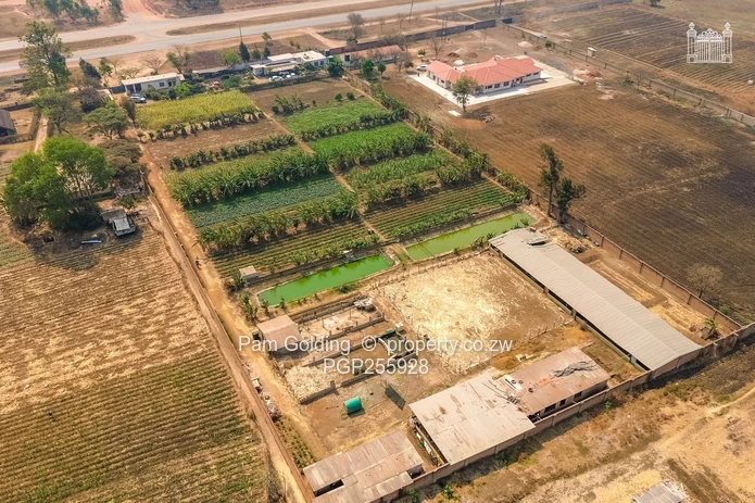 1.25HA Agricultural Plot Along Bulawayo Rd