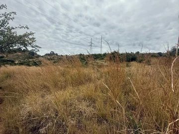 Commercial & Industrial Land