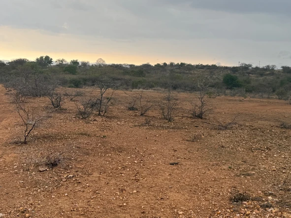 Farm & Agricultural Land