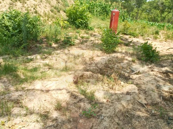 Farm & Agricultural Land