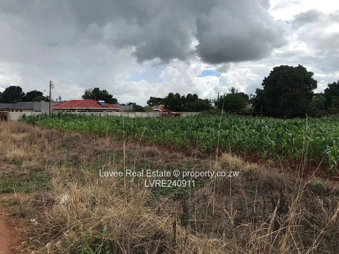 Space, Serenity, and Suburban Bliss on 3,100sqm in Mount Pleasant Heights