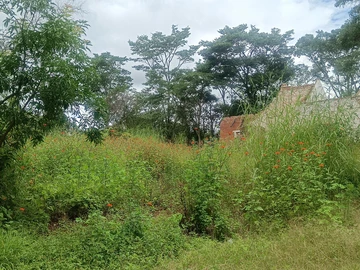 Farm & Agricultural Land