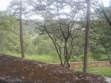 Commercial & Industrial Land