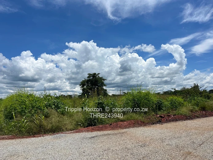 Mary Park Norton stands 