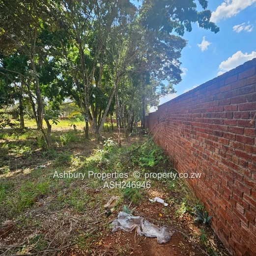 Prime Investment Opportunity in Mandara (Sole Mandate)