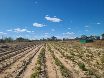 Farm & Agricultural Land