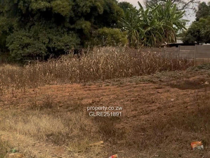 1,000 m² Tree-lined Stand with Road Frontage in Mabelreign